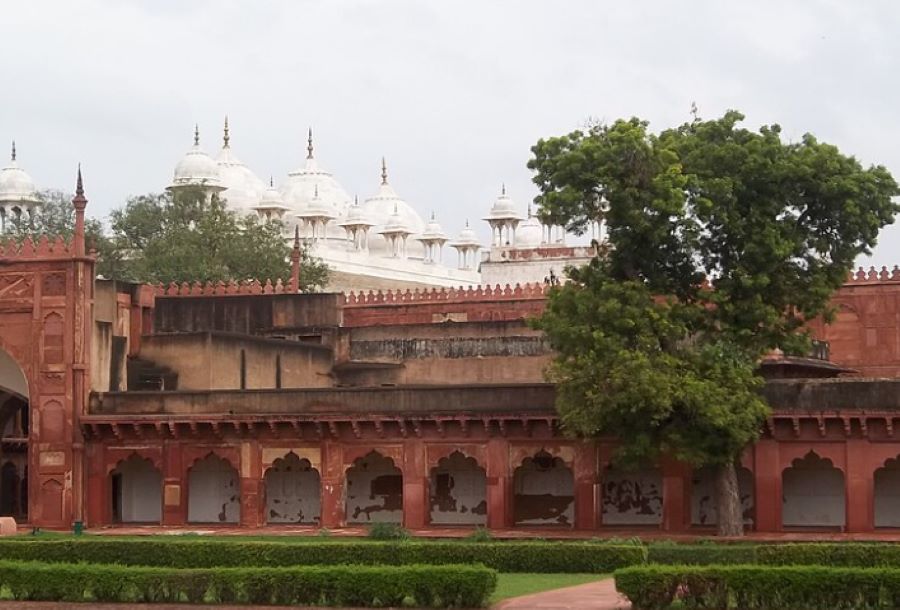 moti masjid in agra