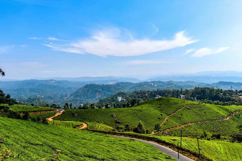 munnar is the best places for a bike trip from coimbatore