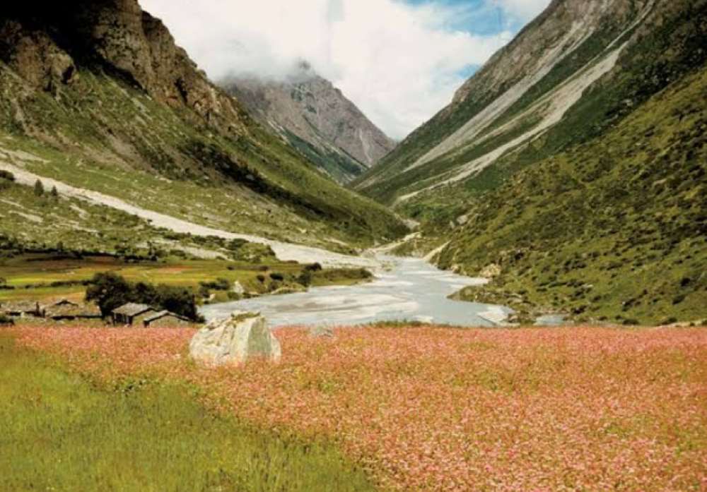 munsiyari in uttarakhand