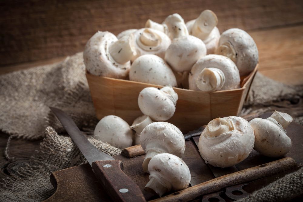 mushrooms-for-vitamin-b5