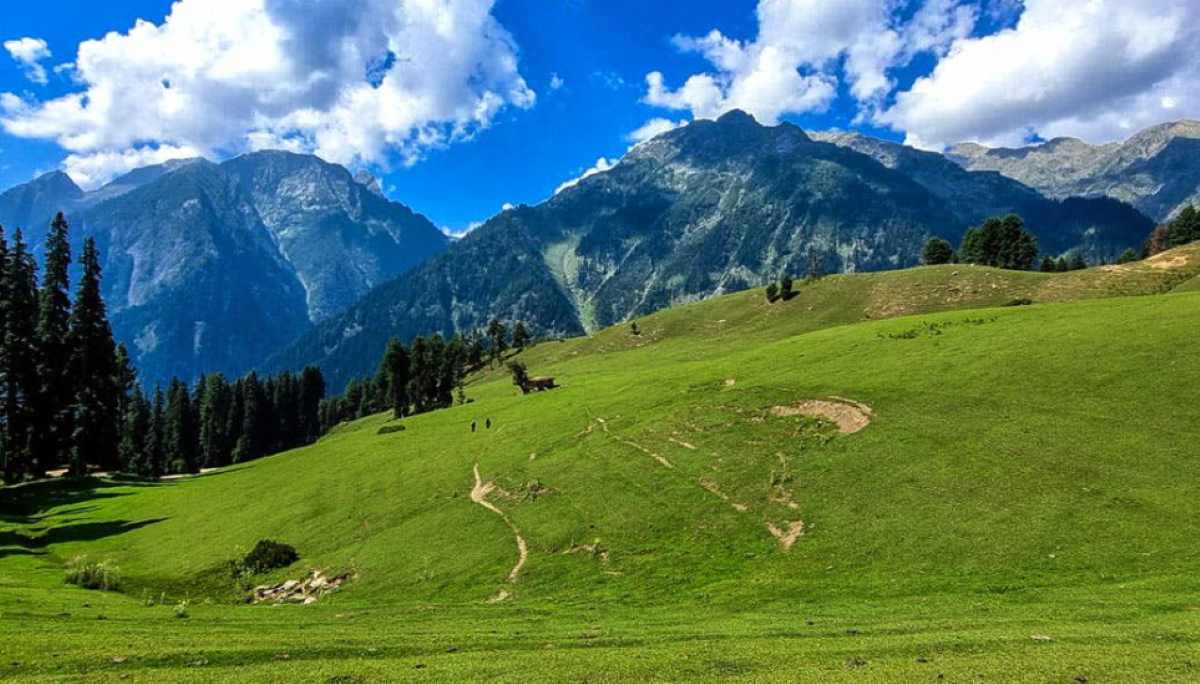 greenish view of nefron valley