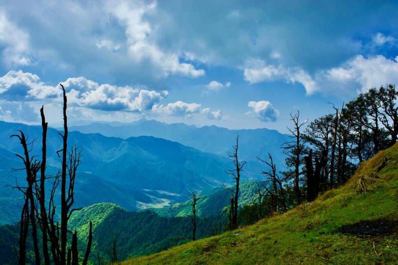 greenish view from nag tibba valley