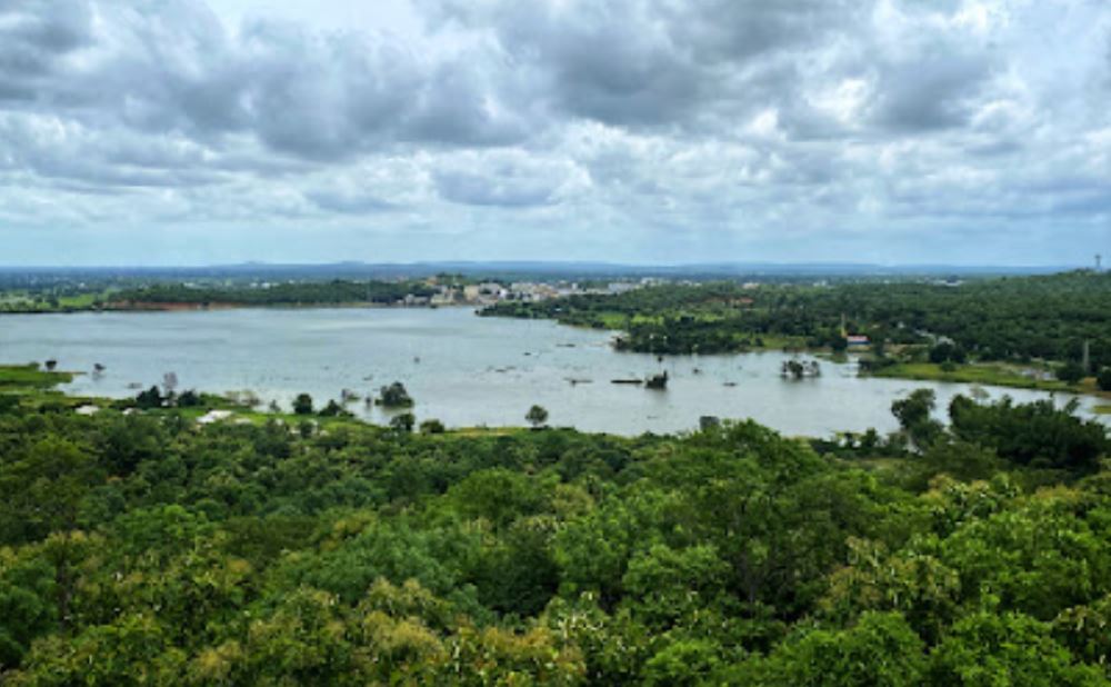 narsapur forest