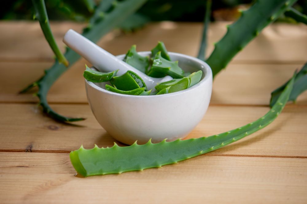 natural-fresh-aloe-vera