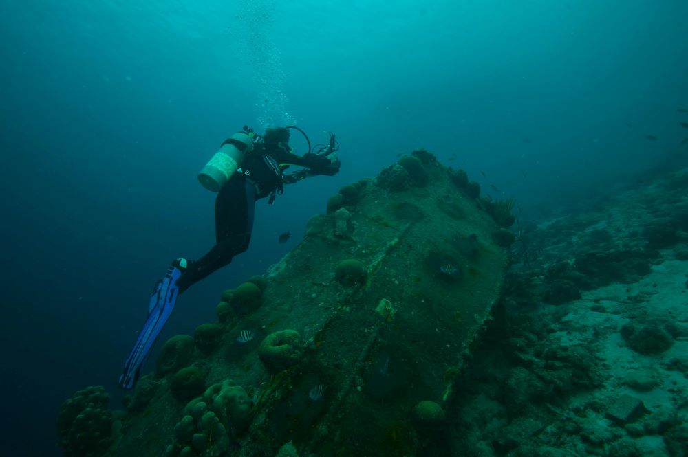 scuba diver capturing coral reef