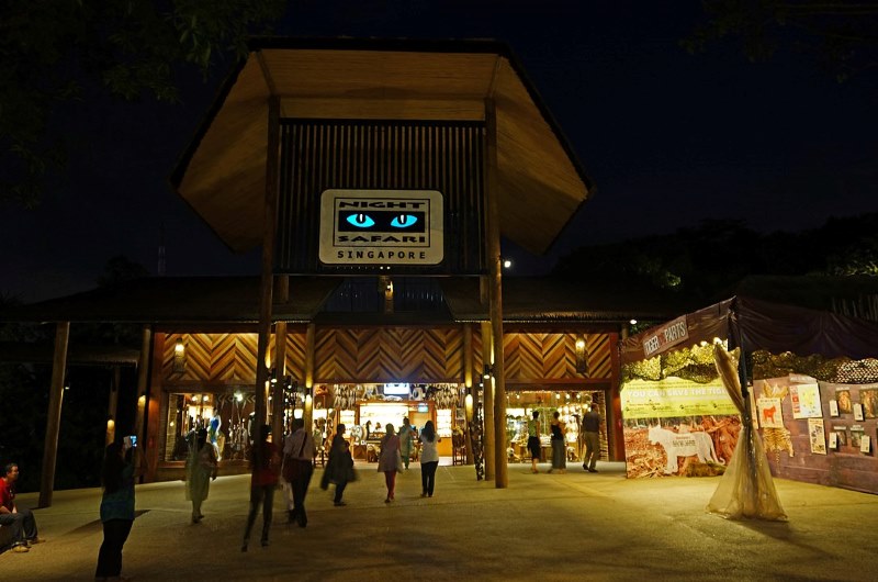 night safari nocturnal wildlife park mandai lake road