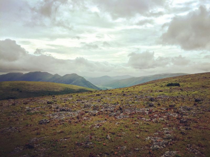 top view from niyamgiri hill