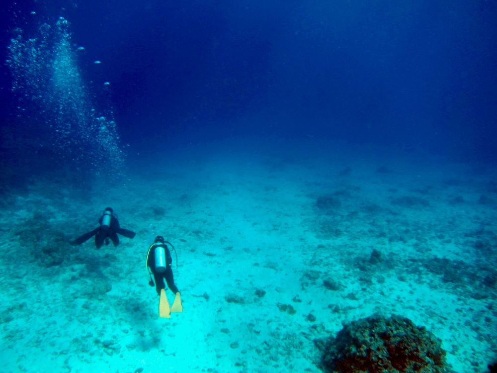 two scuba diver in the underwater