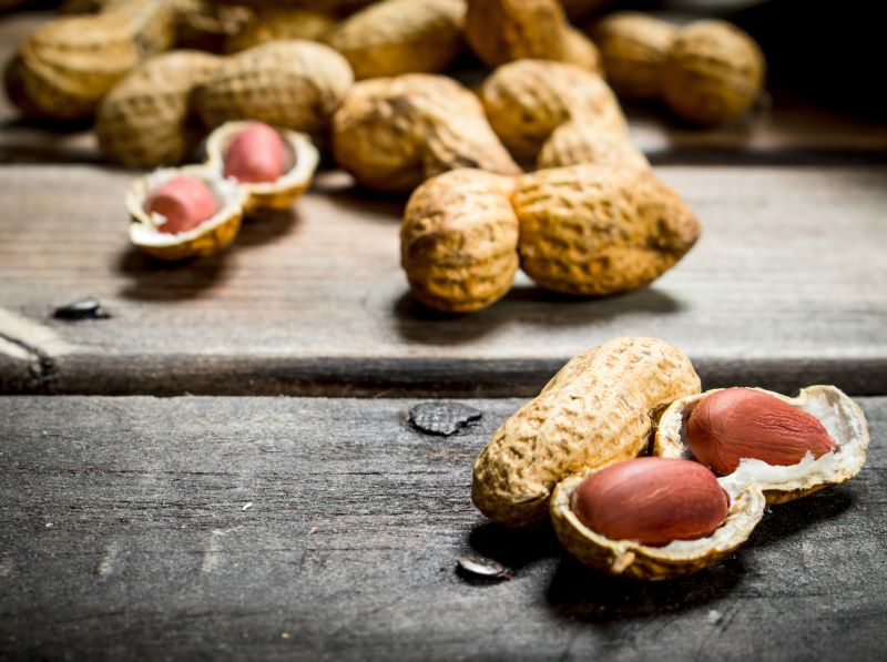 Nuts Rich in Folic Acid