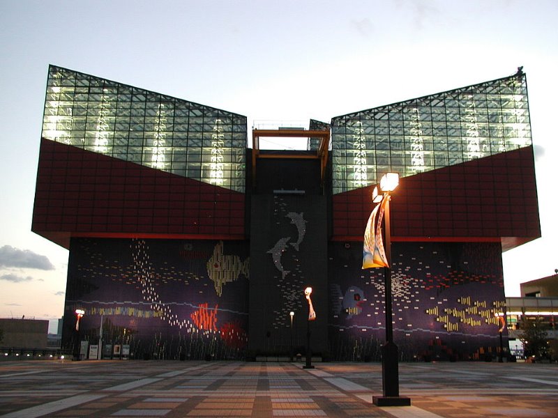 osaka-aquarium-kaiyukan-minato-ward