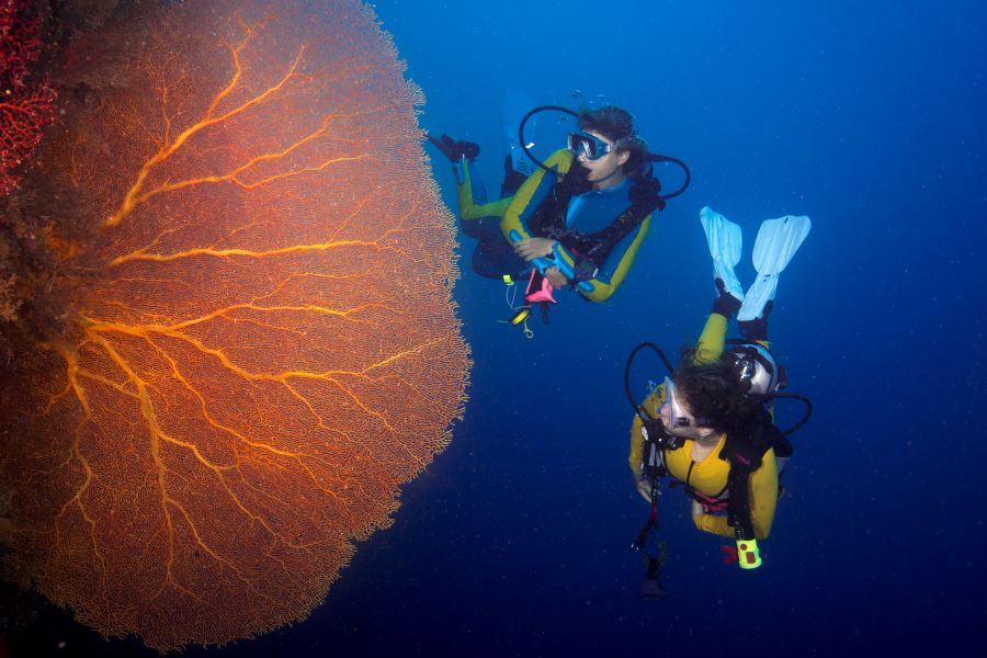 two woman scuba divers with coral reef