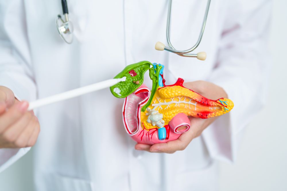 doctor holding pancreas illustration