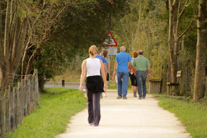 people-walk-down-the-path-in-the-park