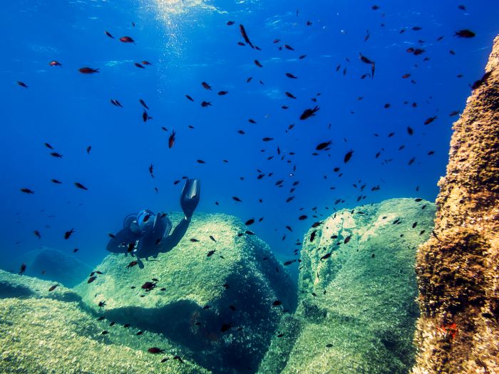 scuba diver surrounded by fishes