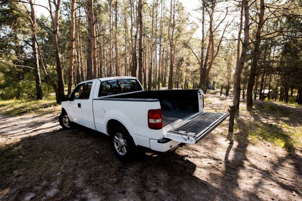 pick up truck in forest