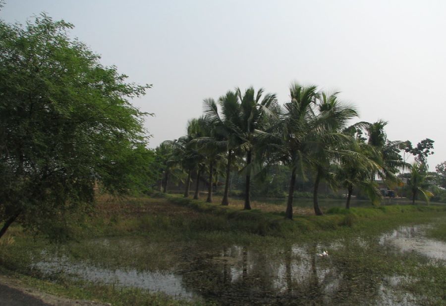 serene view of piyali island