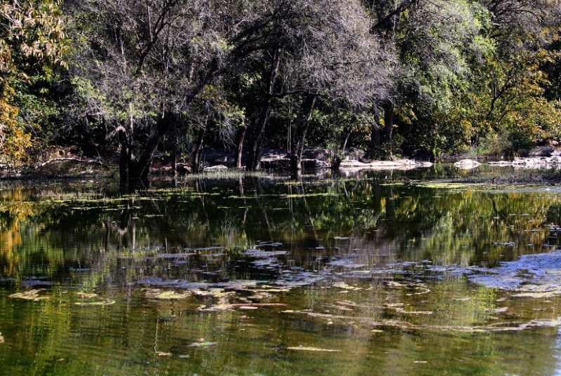 polo forest located in gujarat