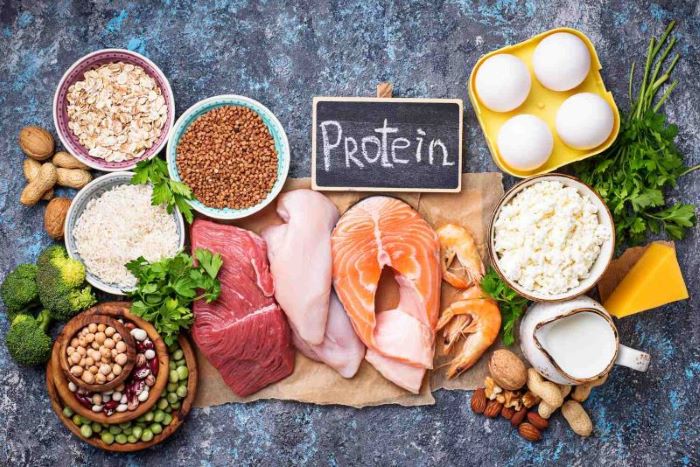 protein-diet-foods