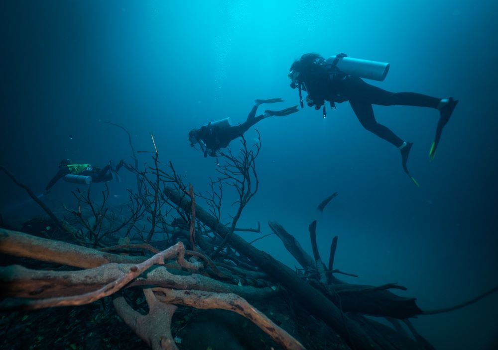 three scuba diver underwater