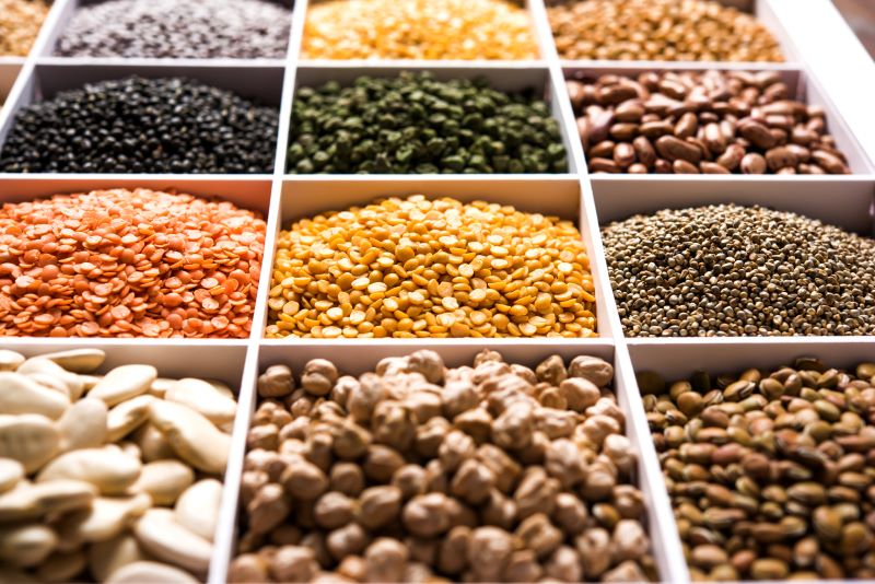 Pulses in Your Daily Diet