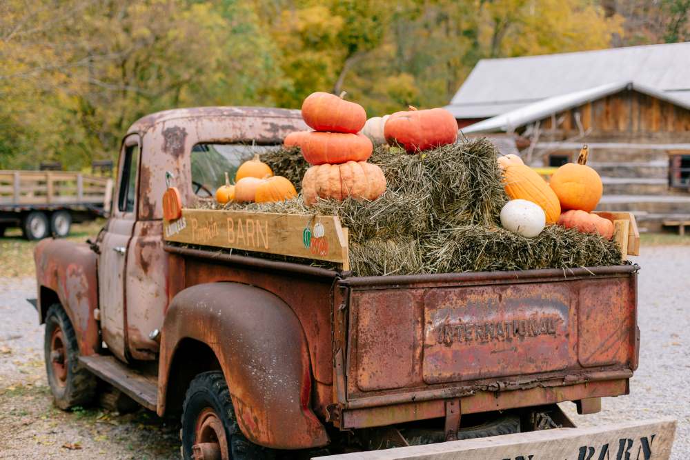 pumpkins on pickup truck