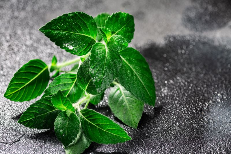 How to Include Tulsi in Your Daily Diet