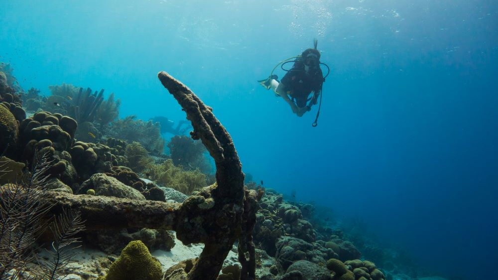 scuba diver exploring the underwater sea