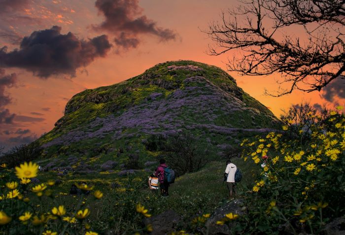 ratangad hills with flowers