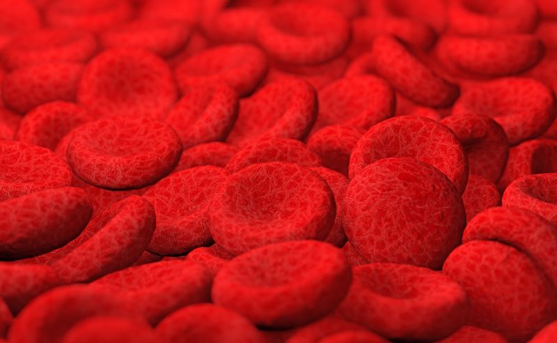 Red Blood Cell Count