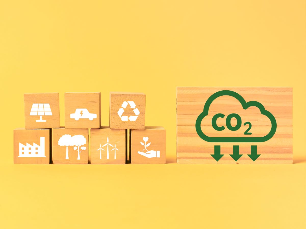 reducing carbon footprint