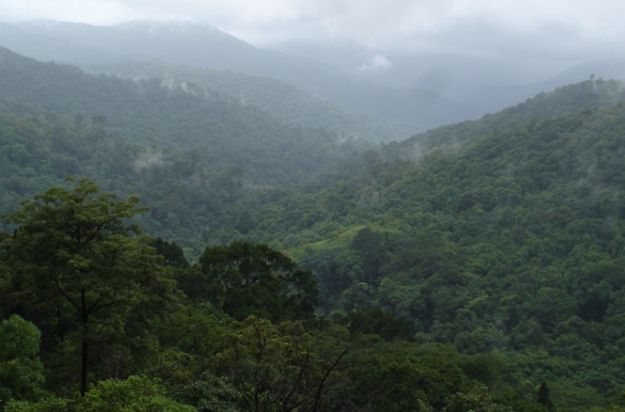 sakleshpur in karnataka