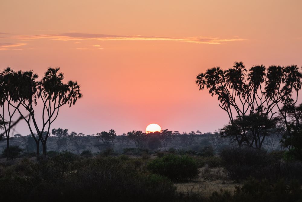 sunrise in samburu national park