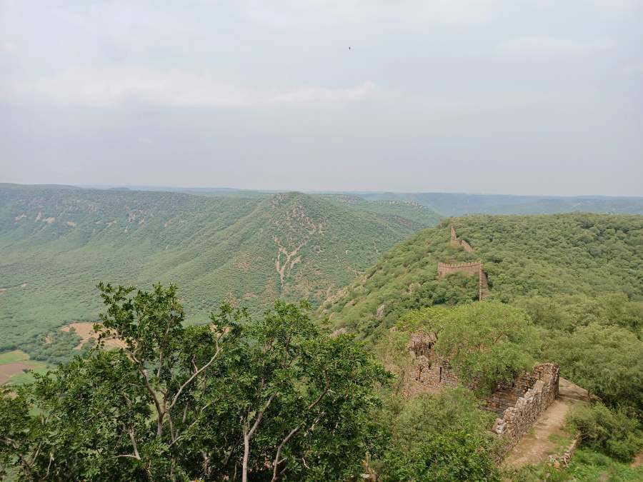 top view of sariska tiger reserve