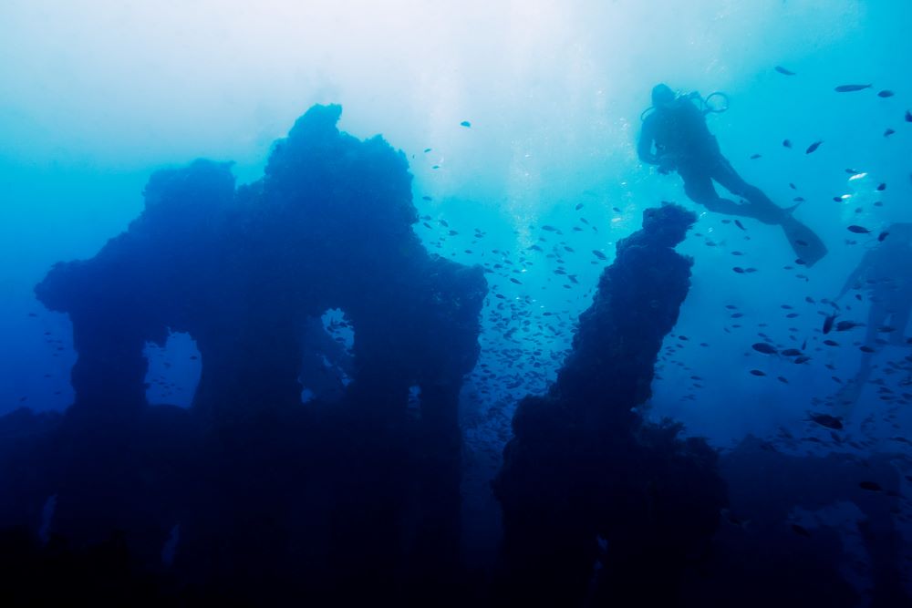 scuba diver exploring underwater sea