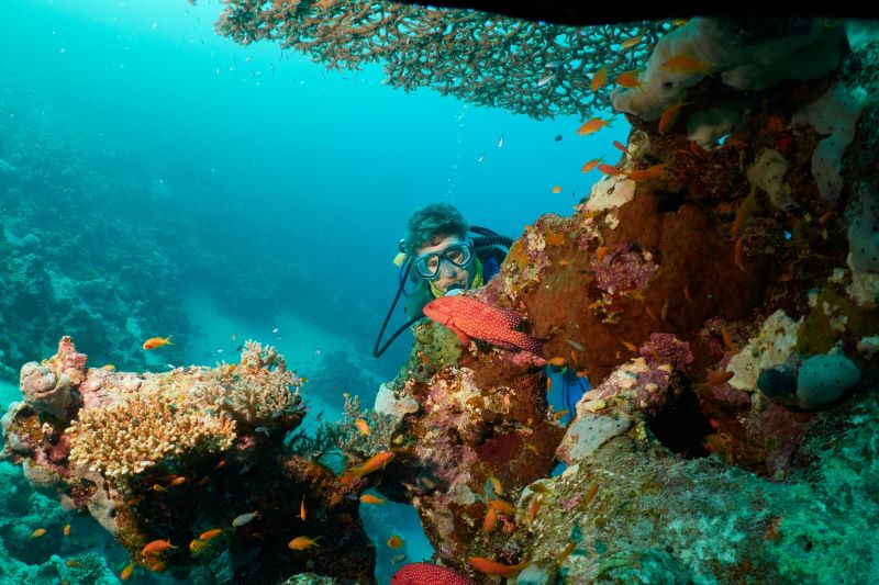 scuba diver discovering sea