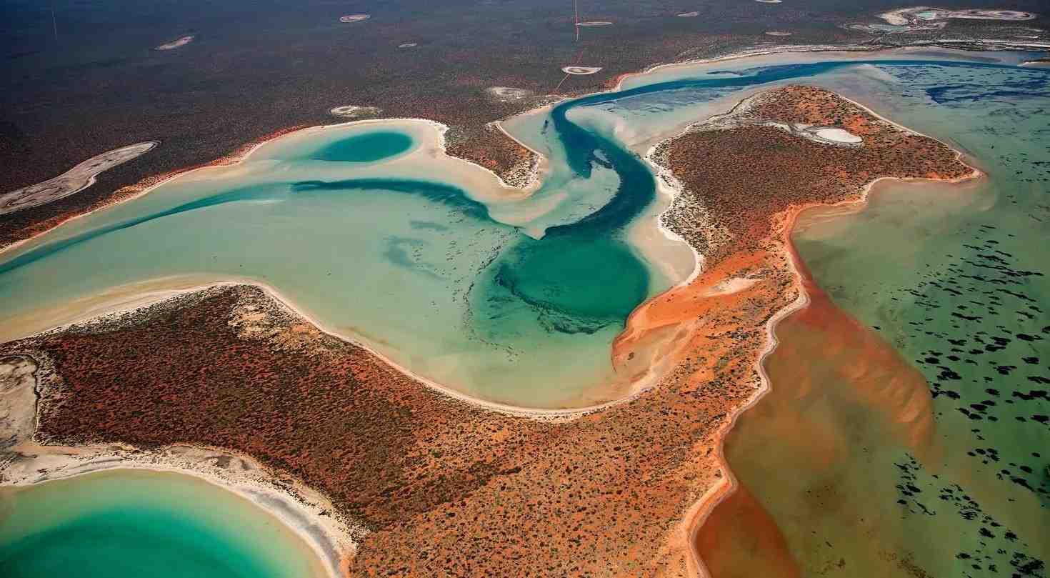 shark bay%2c western australia