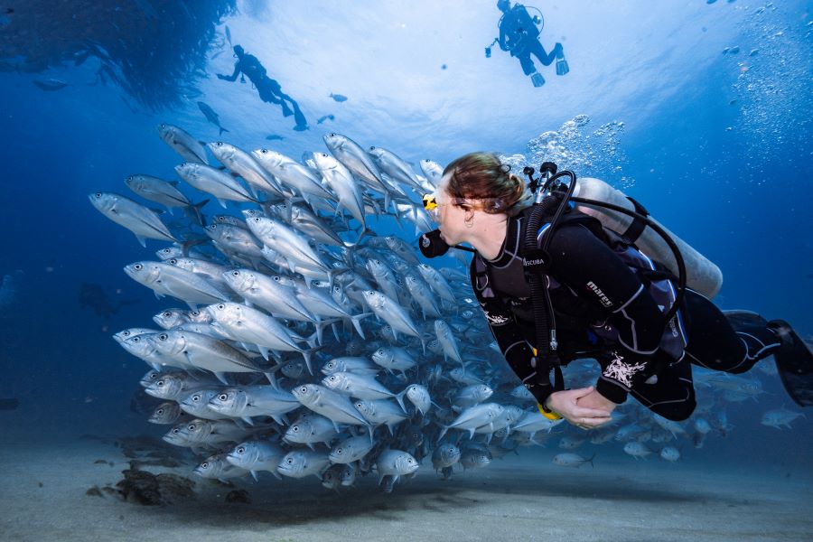 scuba diver staying near to a group of fishes