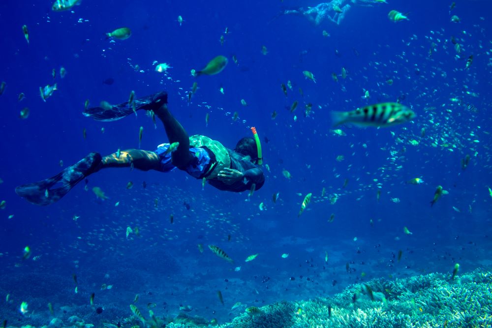 scuba diver exploring the sea