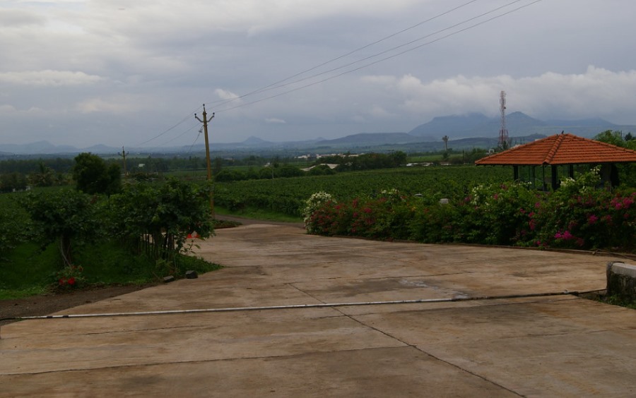 sula vineyards