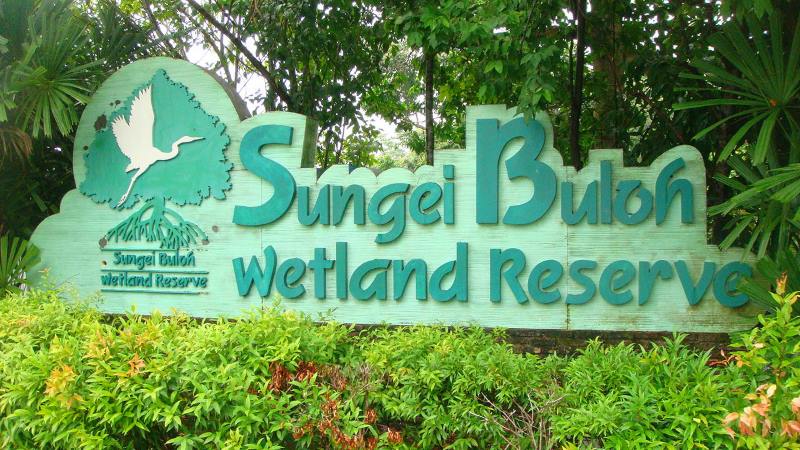 sungei buloh wetland reserve neo tiew cres