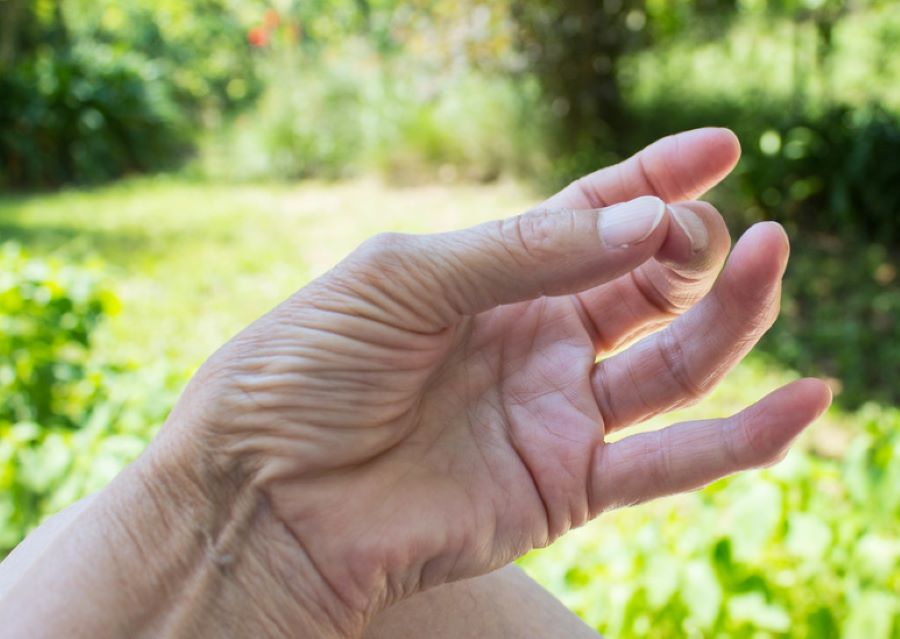 benefits of doing surya mudras daily