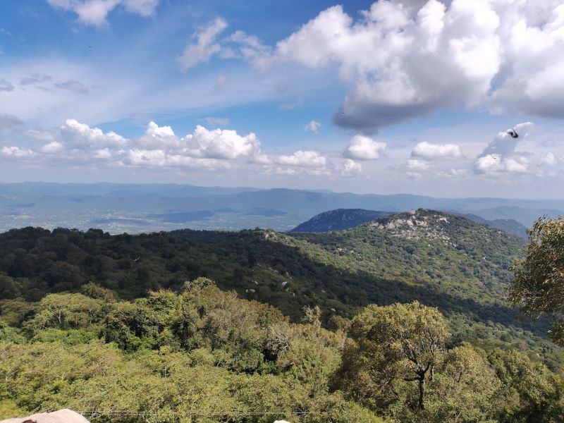 top view from the hill of swamimalai