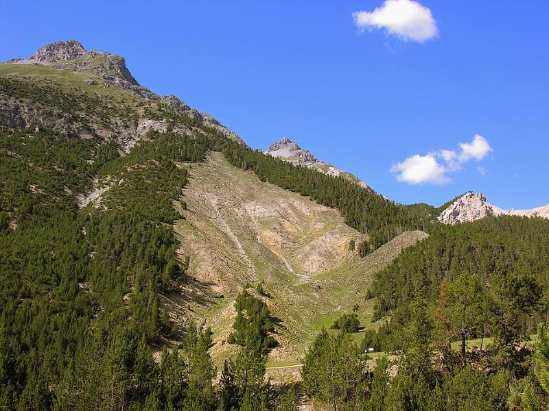 swiss-national-park-zernez