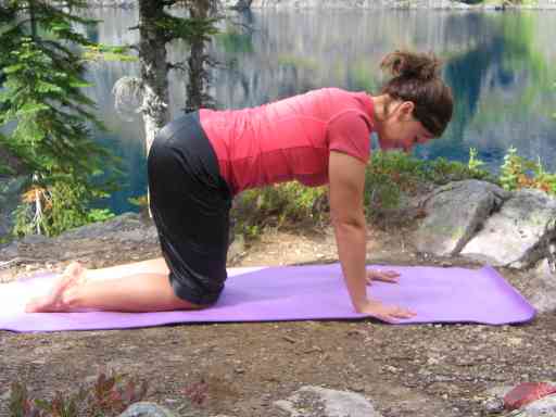 Table-Top Pose