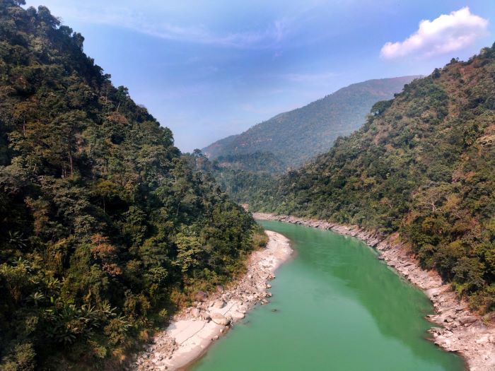 river flowing between forest