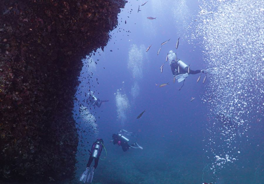 four scuba divers in the sea