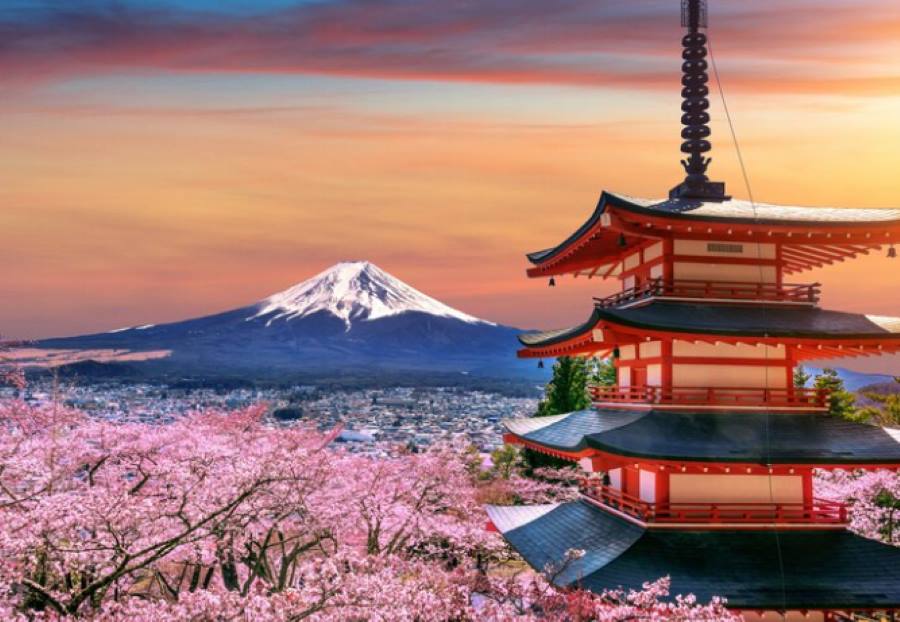 mount fuji view with flowers