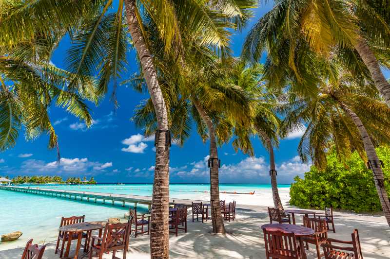 furniture and palm trees on maldives beach