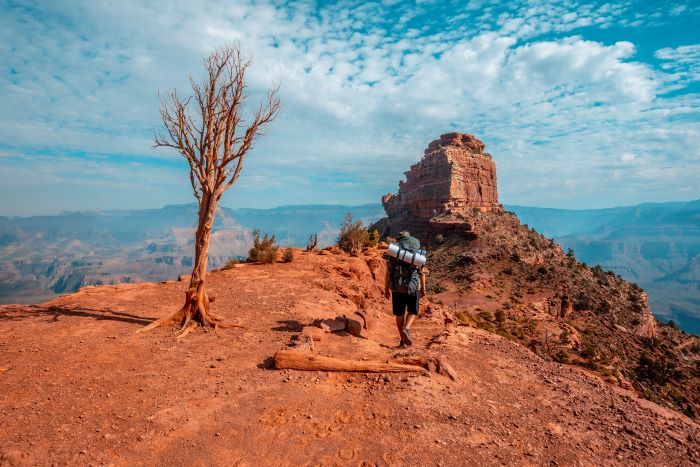 a guy alone trekking