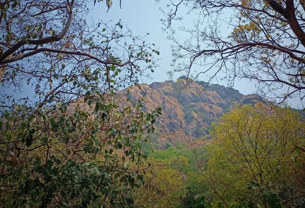 view of trikut hill